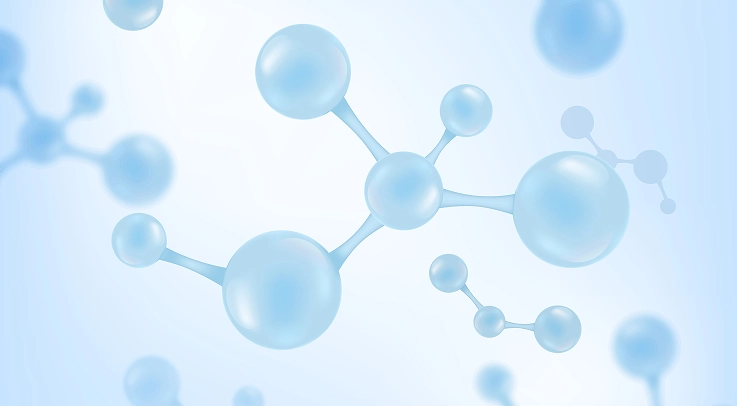 Enzymes: The Fountain of Youth? Part 2 – How to stop the degeneration of the body?