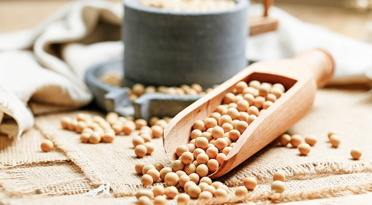Soyabean: Nutritional Star or Clever Con?